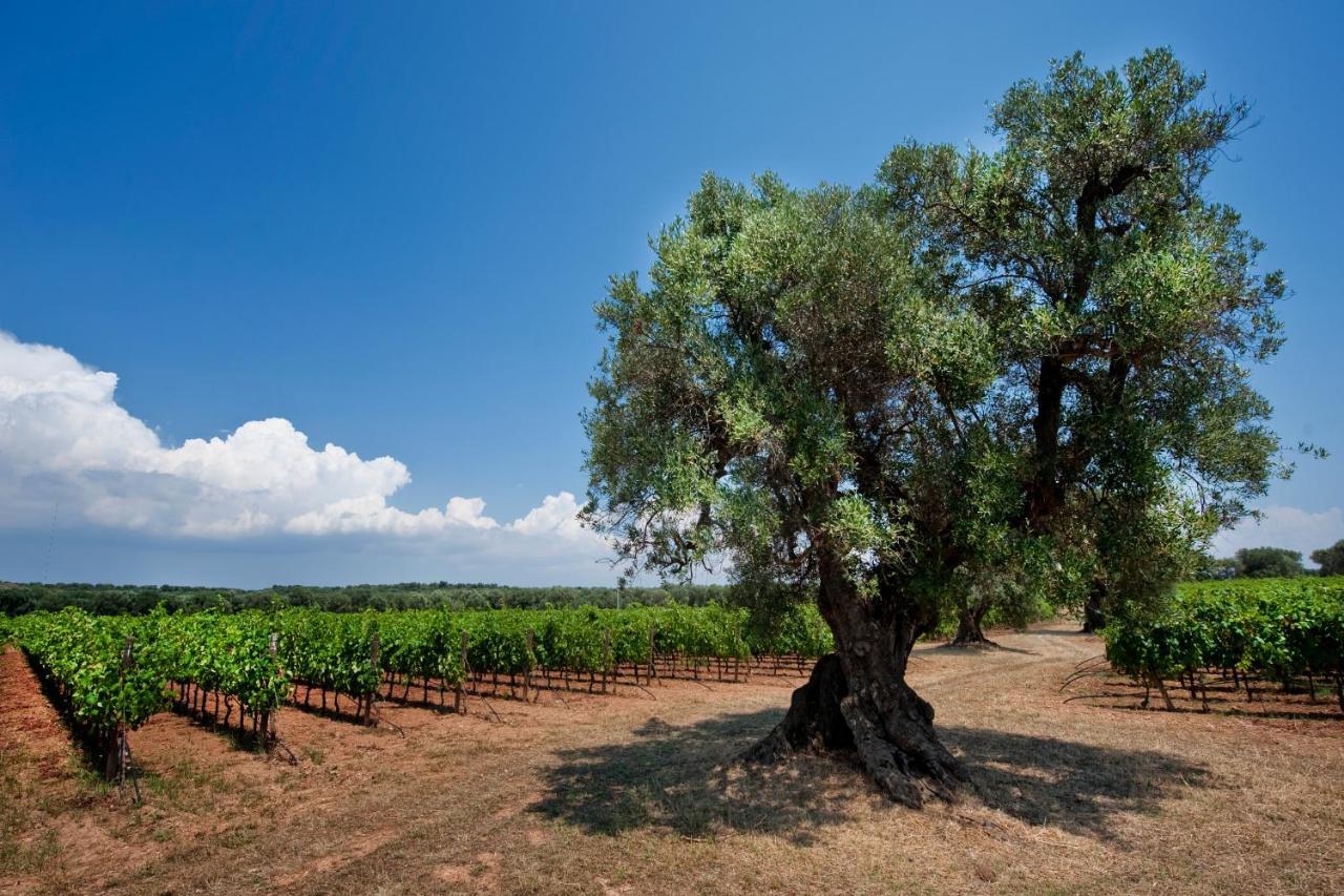 Masseria Le Fabriche Maruggio Zewnętrze zdjęcie