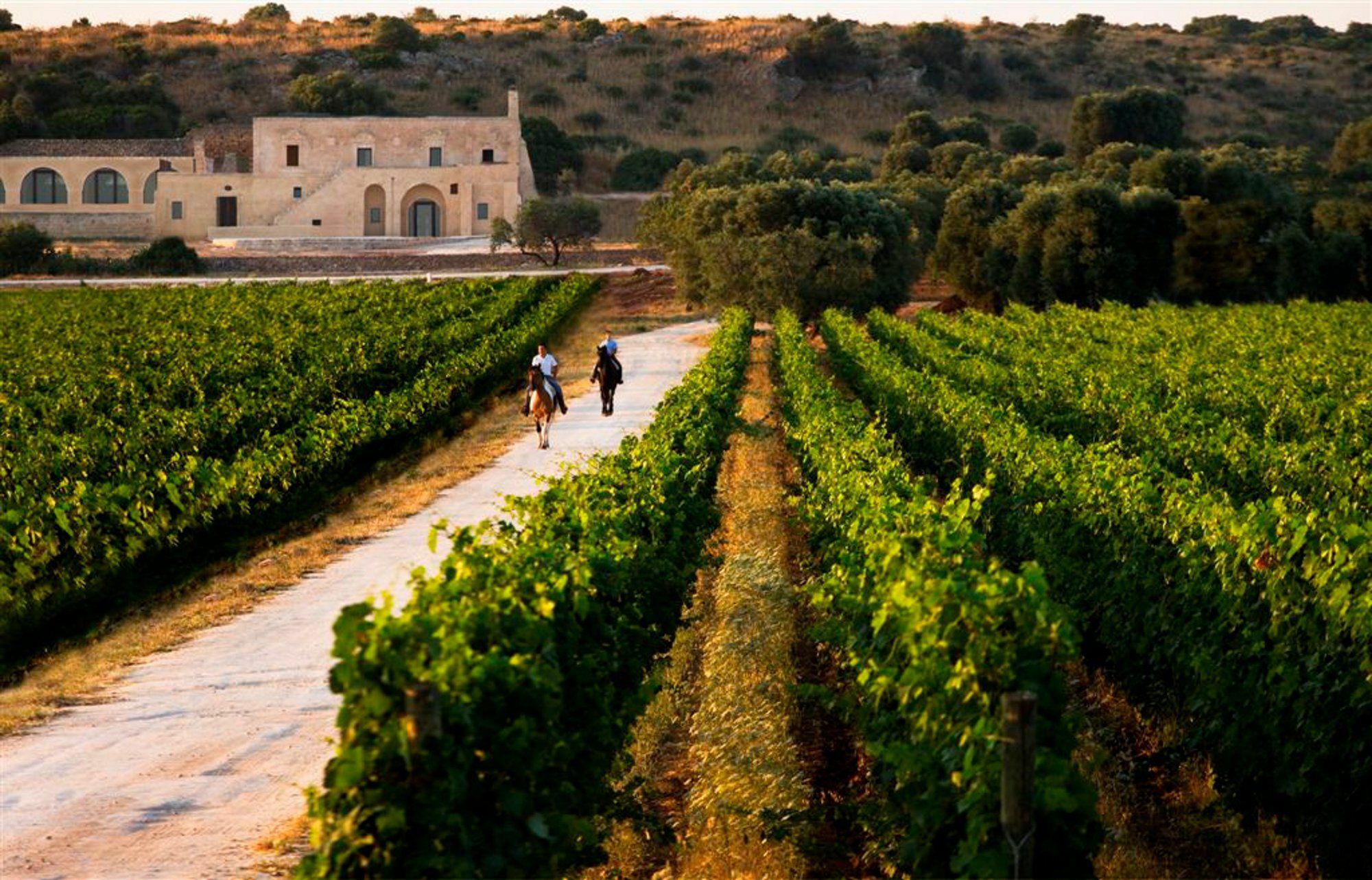 Masseria Le Fabriche Maruggio Zewnętrze zdjęcie