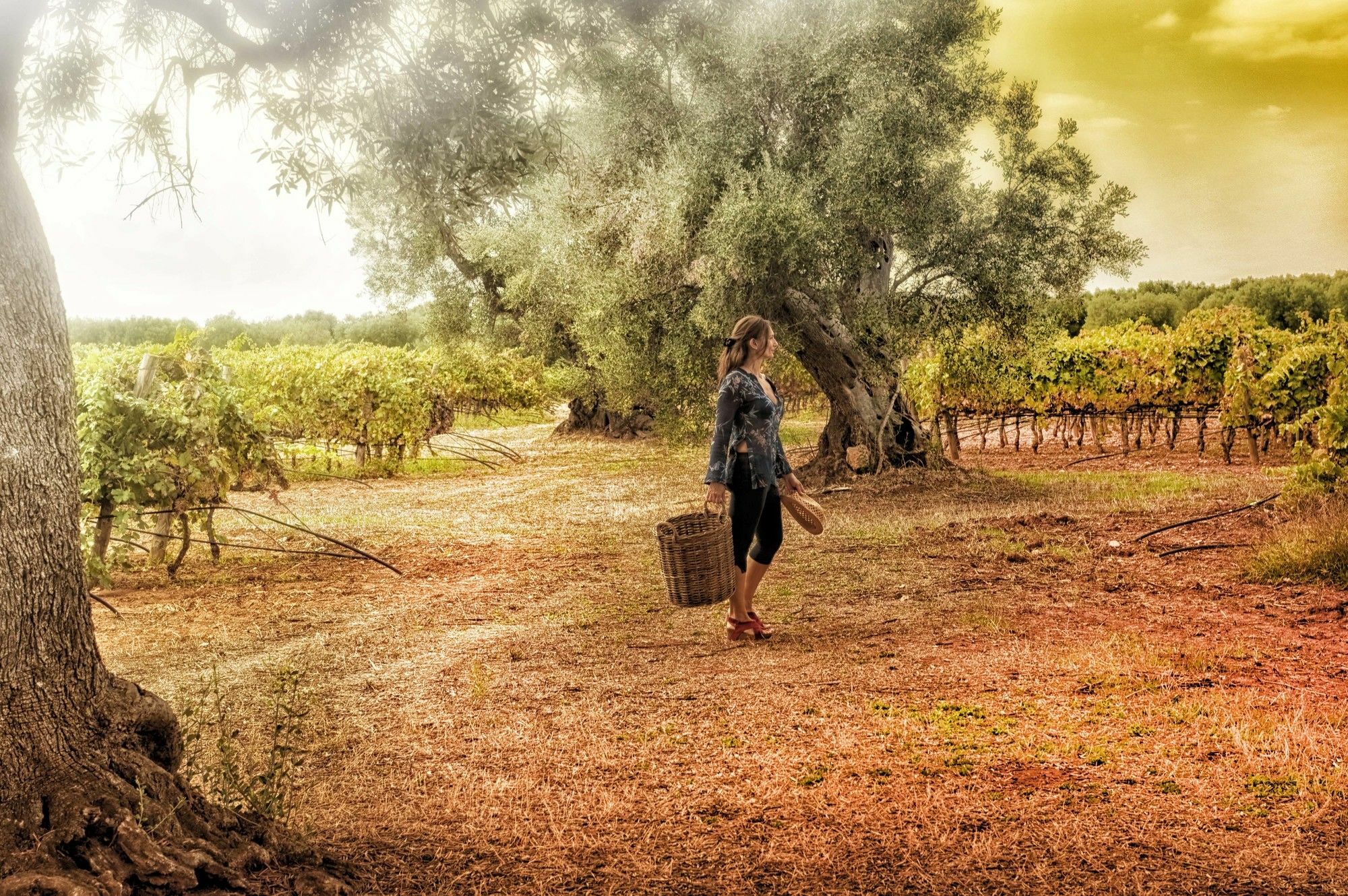 Masseria Le Fabriche Maruggio Zewnętrze zdjęcie